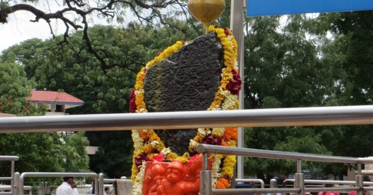 शनि देव आरती लिरिक्स। Shani Dev Aarti Lyrics