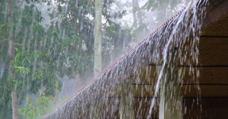 स्वप्न में बारिश देखने का अर्थ और ज्योतिषीय उपाय (Meaning of seeing rain in dream)