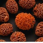 एक मुखी रुद्राक्ष के फायदे