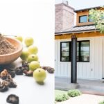 Vastu Shastra and Ayurveda