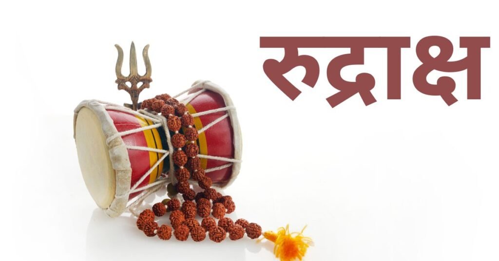 11 मुखी रुद्राक्ष