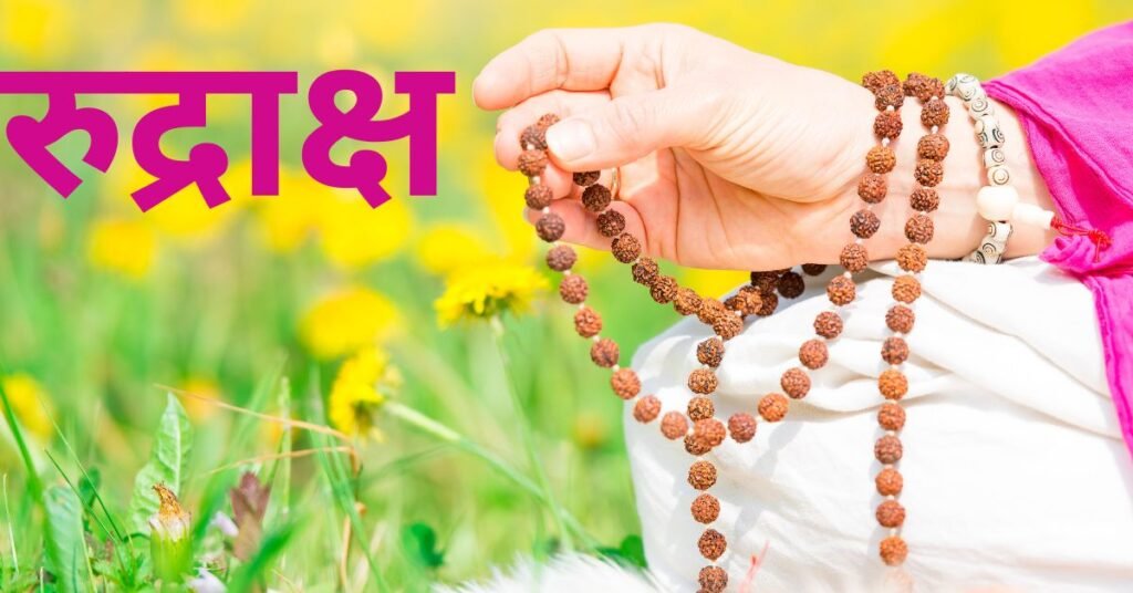 13 मुखी रुद्राक्ष