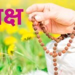 13 मुखी रुद्राक्ष