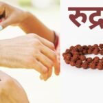 14 मुखी रुद्राक्ष