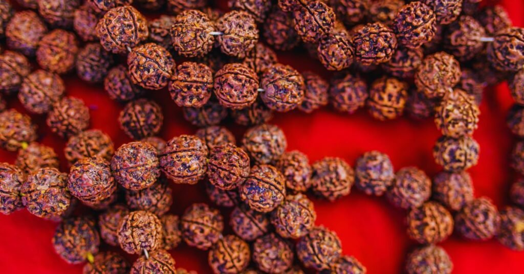 17 मुखी रुद्राक्ष