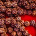 17 मुखी रुद्राक्ष