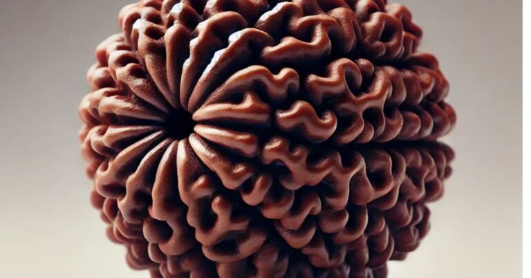 19 Mukhi Rudraksha: Choosing the Right One – Price, Authenticity, and Benefits