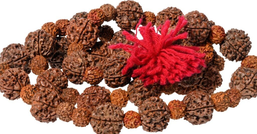 21 मुखी रुद्राक्ष