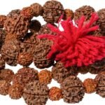 21 मुखी रुद्राक्ष