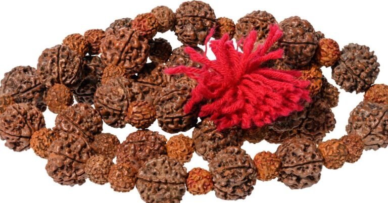 21 मुखी रुद्राक्ष की सम्पूर्ण जानकारी – लाभ, पहनने की विधि, मंत्र और सावधानियाँ।