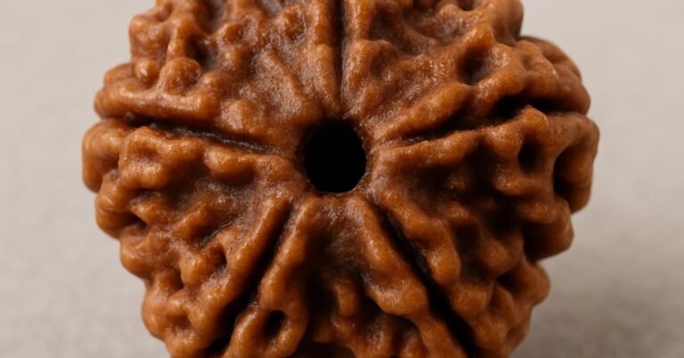 The Spiritual and Health Benefits of 3 Mukhi Rudraksha: A Complete Guide