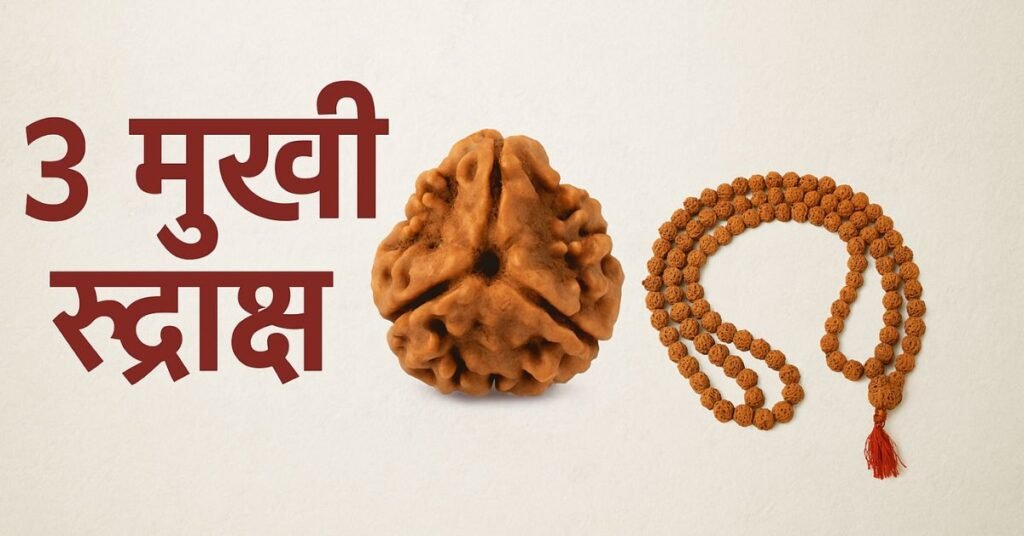 3 मुखी रुद्राक्ष