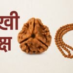 3 मुखी रुद्राक्ष