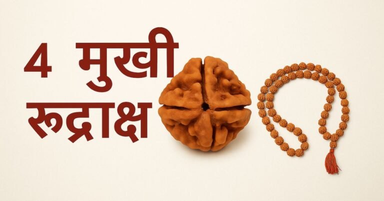 4 मुखी रुद्राक्ष की सम्पूर्ण जानकारी – लाभ, पहनने की विधि, मंत्र और सावधानियाँ।