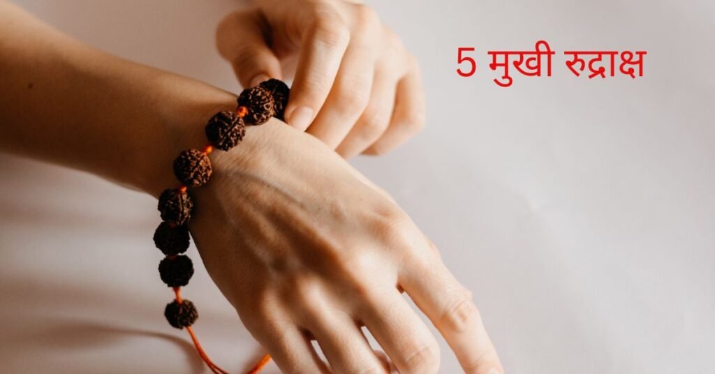 5 मुखी रुद्राक्ष