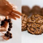 6 मुखी रुद्राक्ष