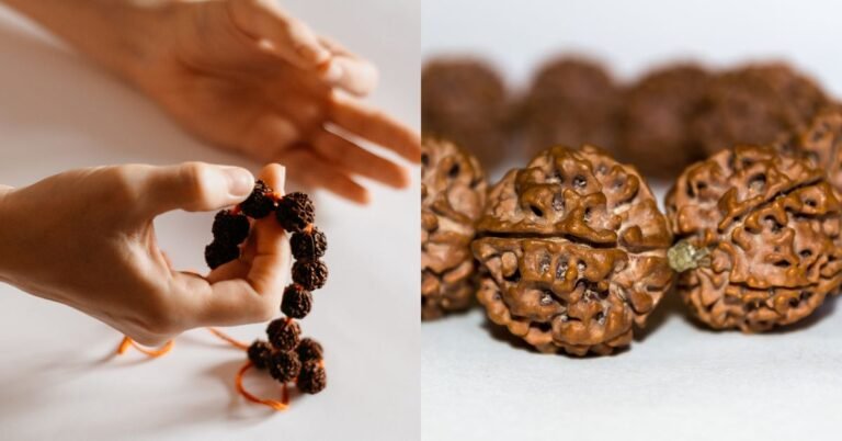 6 मुखी रुद्राक्ष की सम्पूर्ण जानकारी – लाभ, पहनने की विधि, मंत्र और सावधानियाँ।