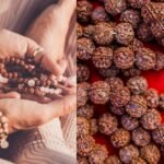 7 मुखी रुद्राक्ष
