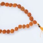 8 मुखी रुद्राक्ष