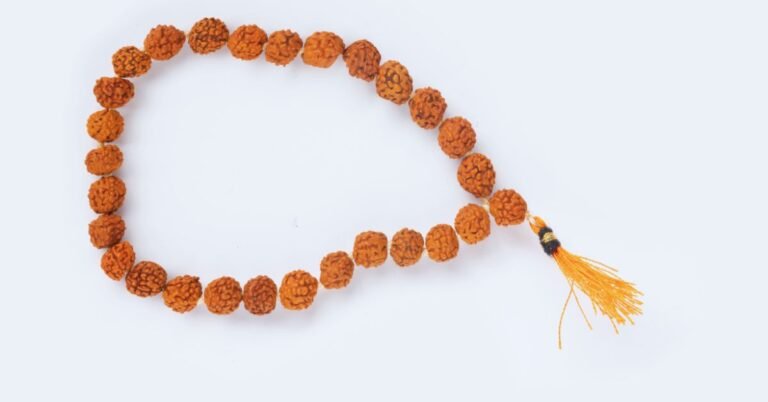 8 मुखी रुद्राक्ष की सम्पूर्ण जानकारी – लाभ, पहनने की विधि, मंत्र और सावधानियाँ