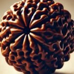 9 Mukhi Rudraksha Mala
