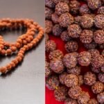 9 मुखी रुद्राक्ष