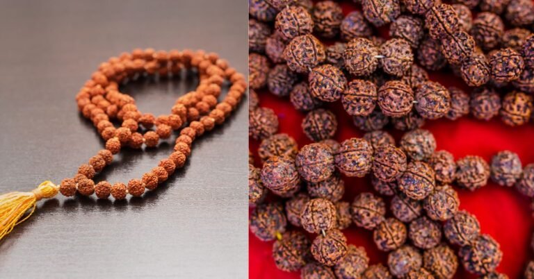 9 मुखी रुद्राक्ष की सम्पूर्ण जानकारी – लाभ, पहनने की विधि, मंत्र और सावधानियाँ।