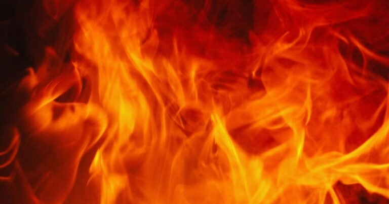 Things to Be Passionate About in Life: How to Find What Lights You Up