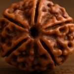 5 Mukhi Rudraksha benefits