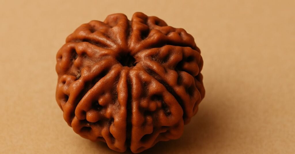 6 Mukhi Rudraksha benefits