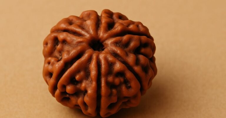 The Ultimate Guide to 6 Mukhi Rudraksha: Benefits, Authenticity, and Price Range