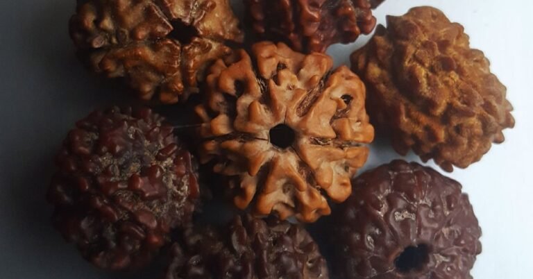 The Complete Rudraksha Bead Guide: From 1 Mukhi to 21 Mukhi Rudraksha – Benefits and Spiritual Significance