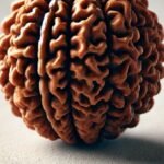 What is 3Mukhi Rudraksha
