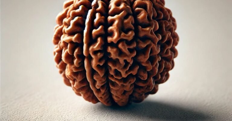The 3 Mukhi Rudraksha: Benefits, Price, and Spiritual Significance