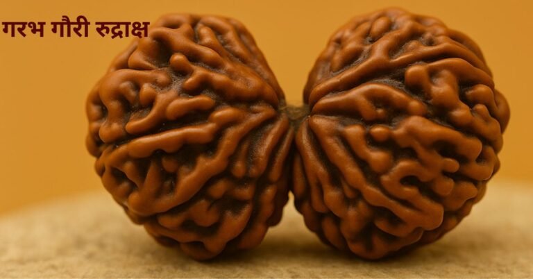 गरभ गौरी रुद्राक्ष की सम्पूर्ण जानकारी – लाभ, पहनने की विधि, मंत्र और सावधानियाँ।