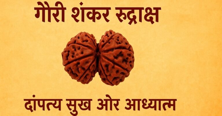 गौरी शंकर रुद्राक्ष की सम्पूर्ण जानकारी – लाभ, पहनने की विधि, मंत्र और सावधानियाँ।