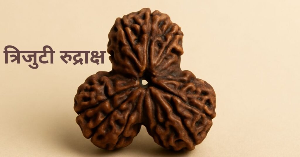 त्रिजुटी रुद्राक्ष