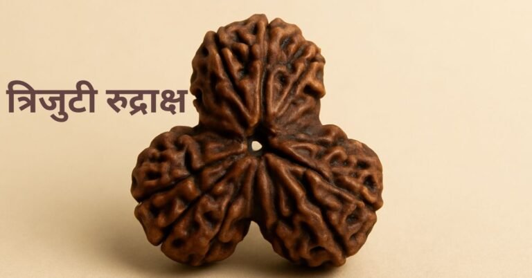 त्रिजुटी रुद्राक्ष की सम्पूर्ण जानकारी – लाभ, पहनने की विधि, मंत्र और सावधानियाँ।