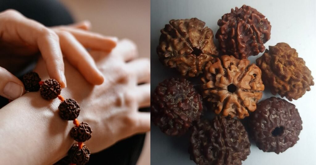 _रुद्राक्ष