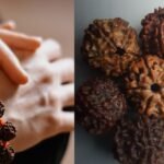 _रुद्राक्ष