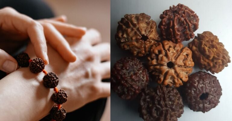रुद्राक्ष क्या होता है? जानिए इसकी उत्पत्ति, महत्व, दिव्यता और चमत्कारी लाभ|