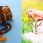 रुद्राक्ष 1