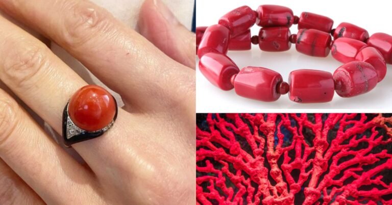 मूंगा रत्न (Coral Gemstone): ज्योतिषीय लाभ, पहनने के नियम और ज्योतिषीय महत्व