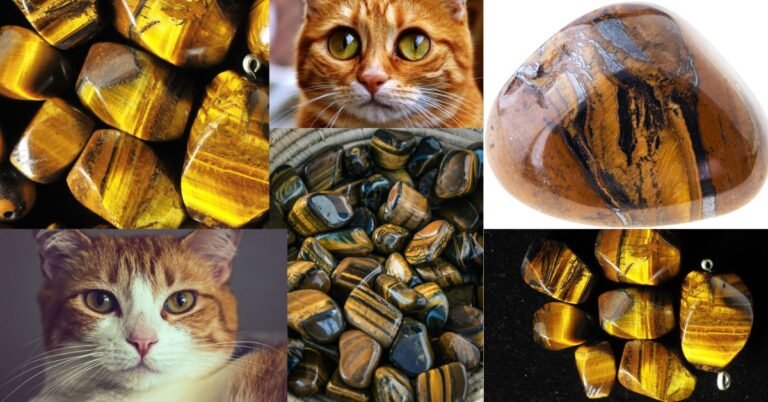 लहसुनिया रत्न (Cat’s Eye Stone)के फायदे, पहनने की विधि और सावधानियाँ